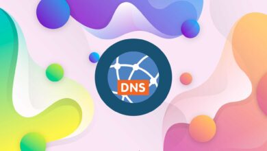 Nameserver of IntroNexus Hosting