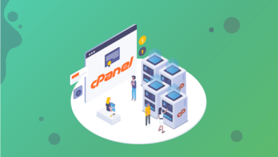 Access cPanel through your website