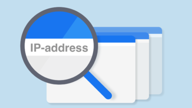 What is my website's IP address in my Web Hosting account?